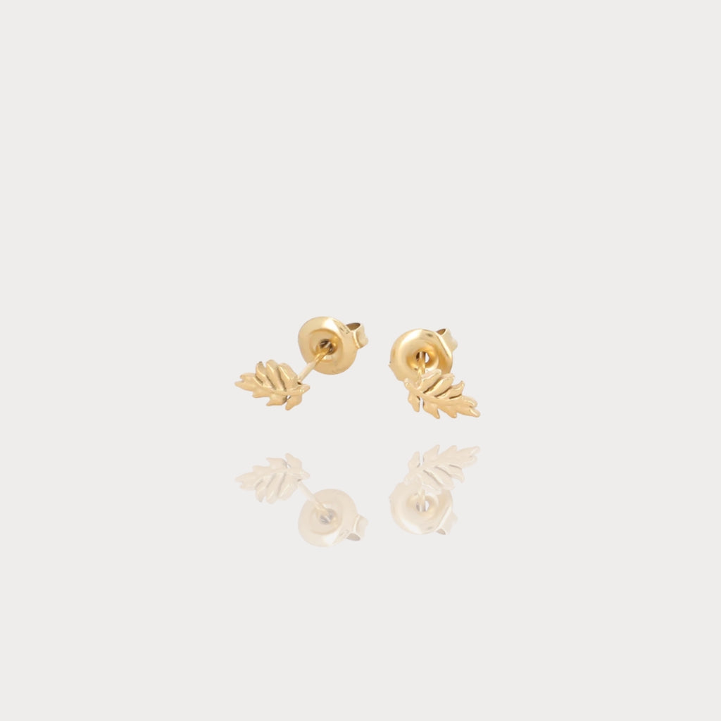 Boucles Eve